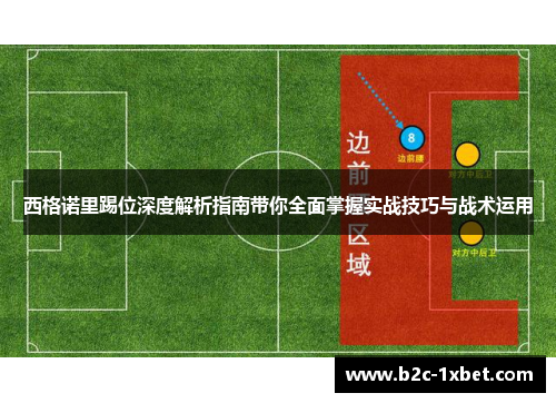 西格诺里踢位深度解析指南带你全面掌握实战技巧与战术运用 西格诺里踢位深度解析指南带你全面掌握实战技巧与战术运用