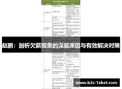 赵鹏：剖析欠薪现象的深层原因与有效解决对策