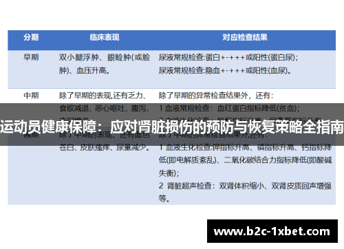 运动员健康保障：应对肾脏损伤的预防与恢复策略全指南